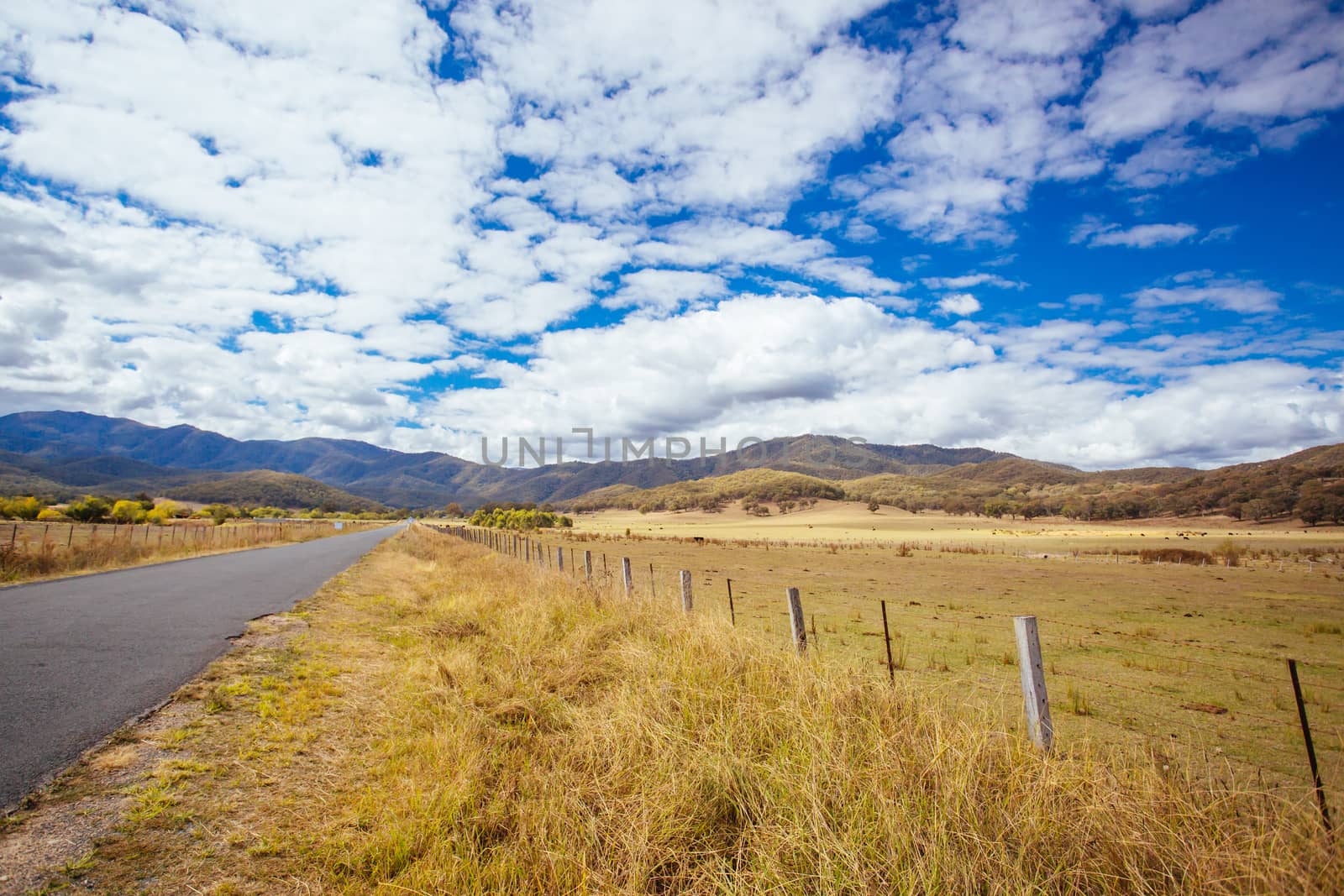 The Alpine Way road near Khancoban on a sunny autumn day in New South Wales, Australia