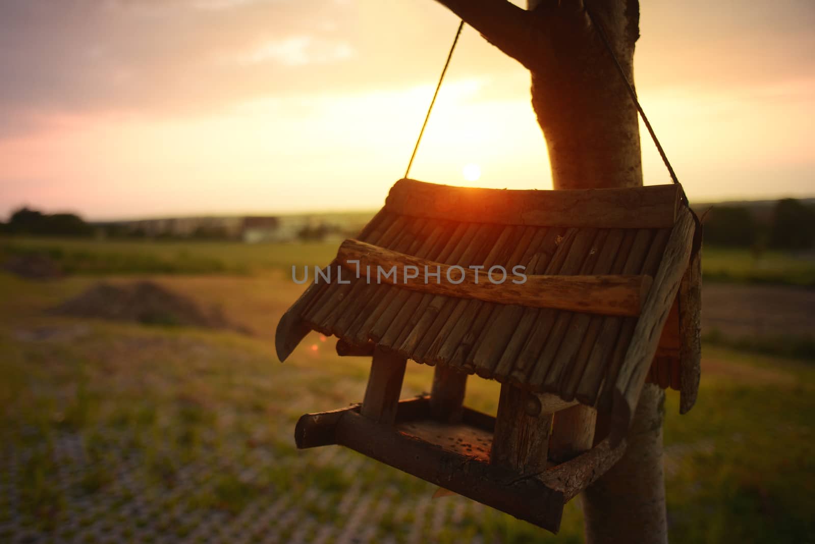 Beautiful Landscape, Birdhouse, summer, sunset warm temperature beautiful sky