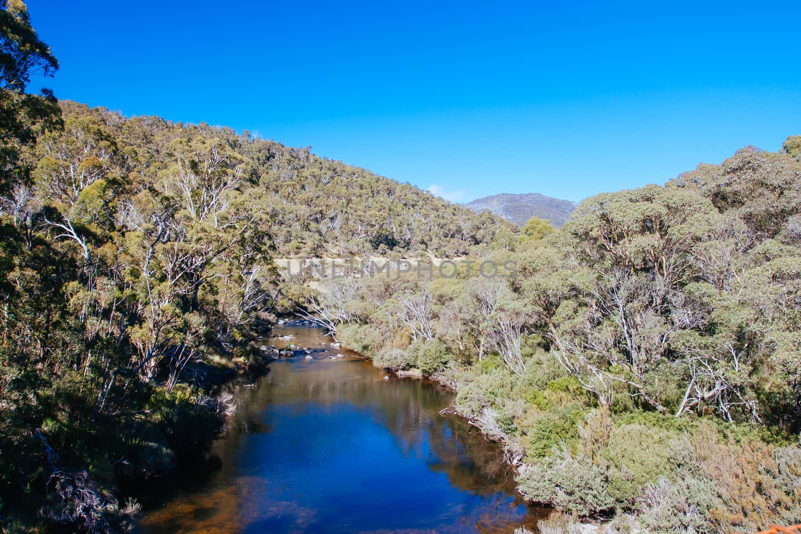 The popular Thredo Valley Track which is a walk and bike track that runs from Thredbo to Jindabyne thru Lake Crackenback in New South Wales, Australia