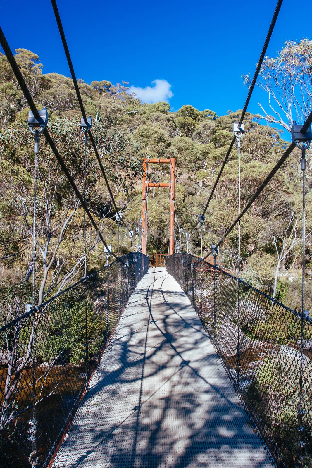 The popular Thredo Valley Track which is a walk and bike track that runs from Thredbo to Jindabyne thru Lake Crackenback in New South Wales, Australia