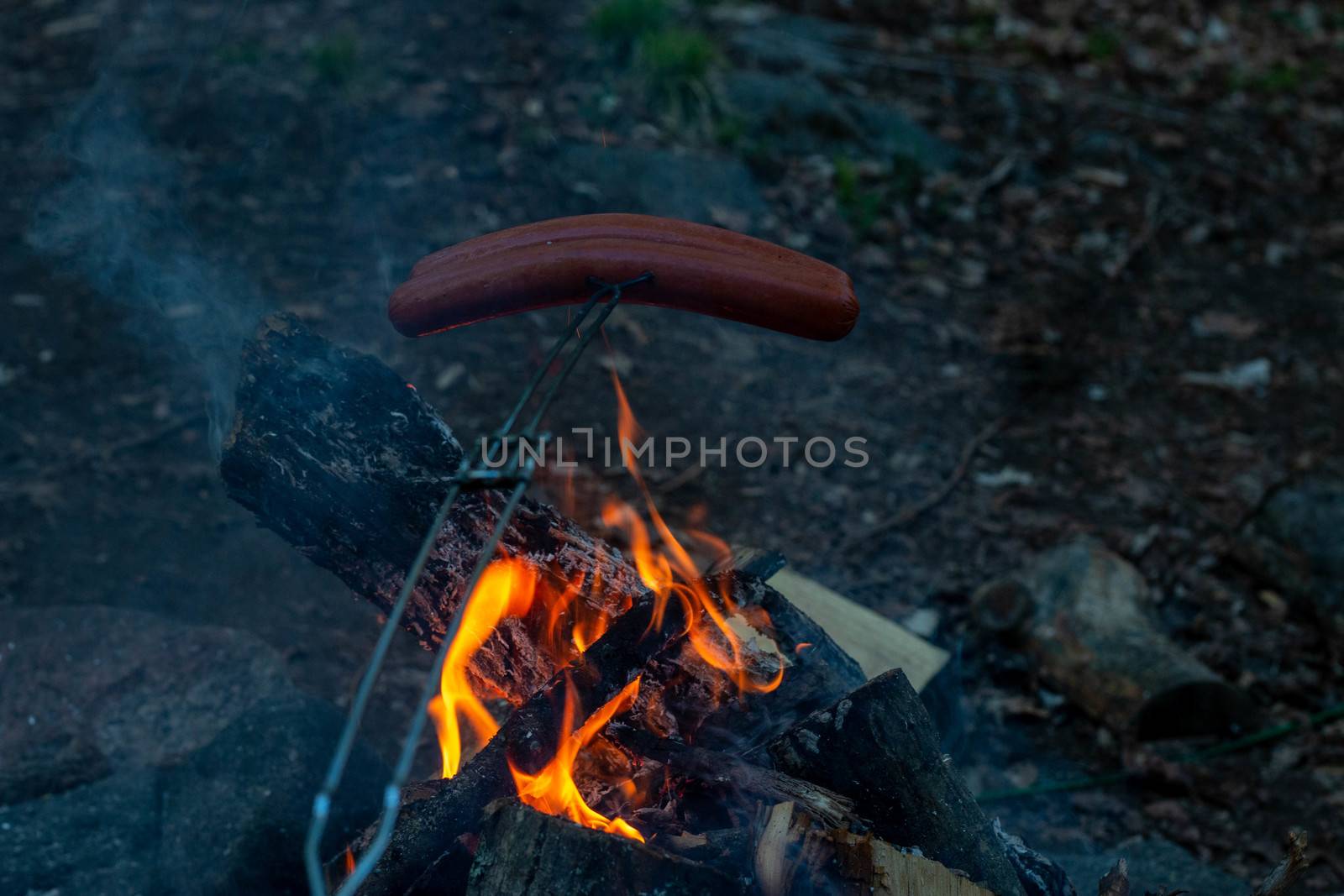 Making and cooking Hot dog sausages over open camp fire. Grilling food over flames of bonfire on wooden branch - stick spears in nature at night. Scouts way of preparing food. by mynewturtle1