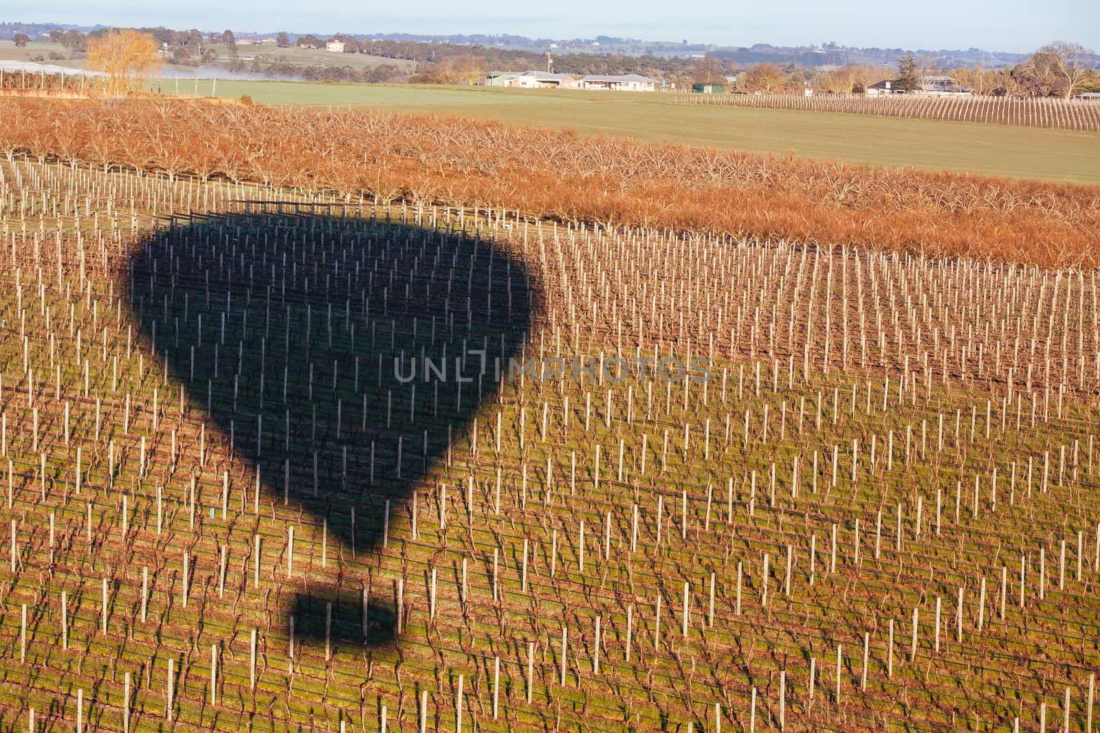 A sunrise hot air balloon flight over the Yarra Valley in Victoria, Australia