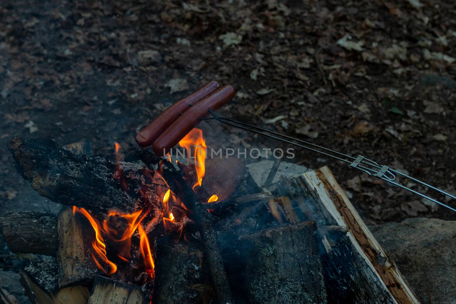 Making and cooking Hot dog sausages over open camp fire. Grilling food over flames of bonfire on wooden branch - stick spears in nature at night. Scouts way of preparing food