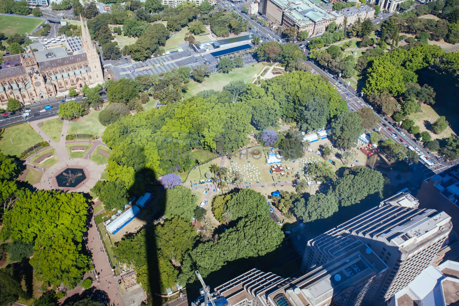 An aerial view of Hyde Park on a clear sunny day in Sydney, NSW, Australia
