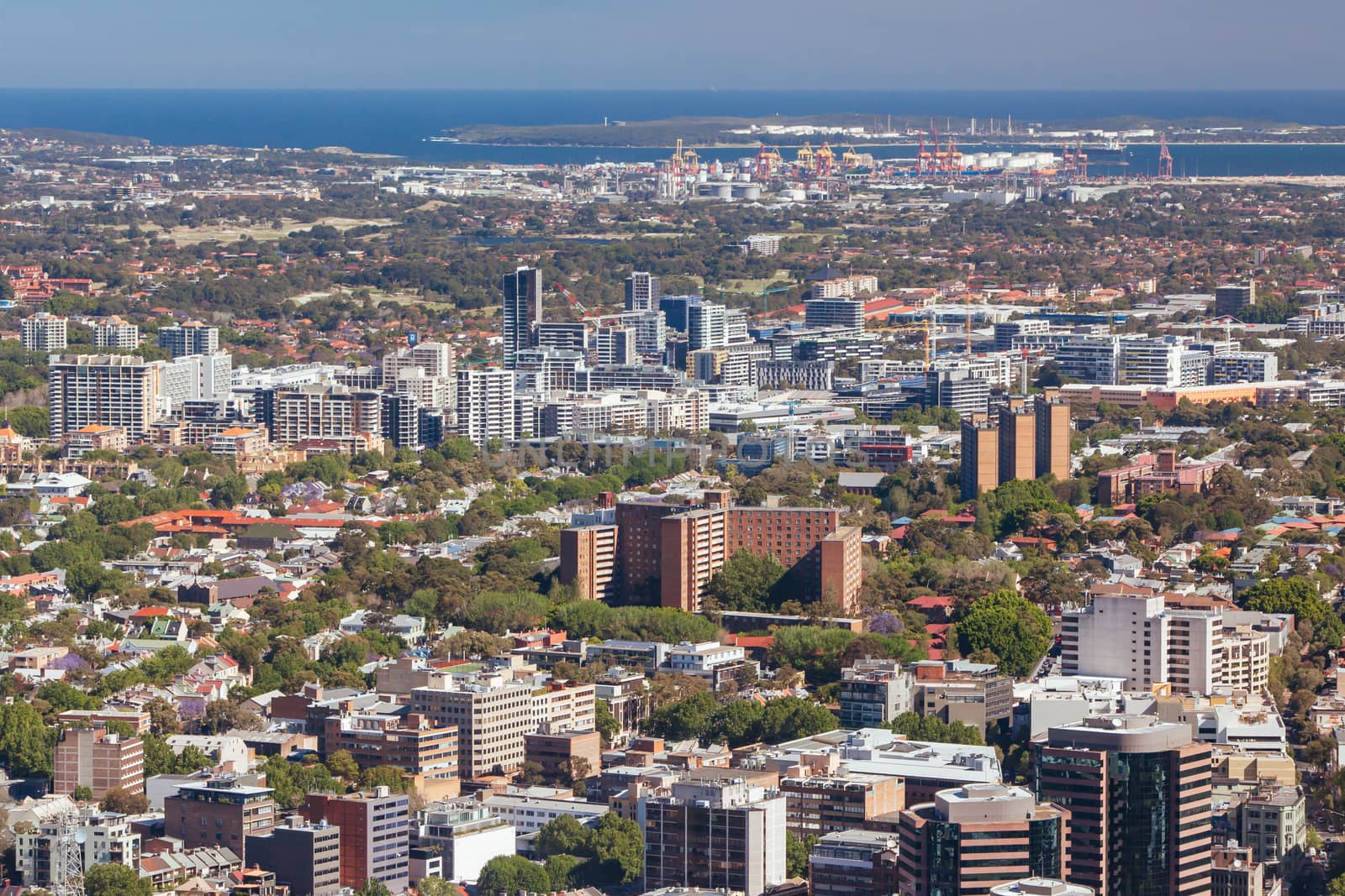 An aerial view of Sydney's buildings and architecture on a clear sunny day in NSW, Australia