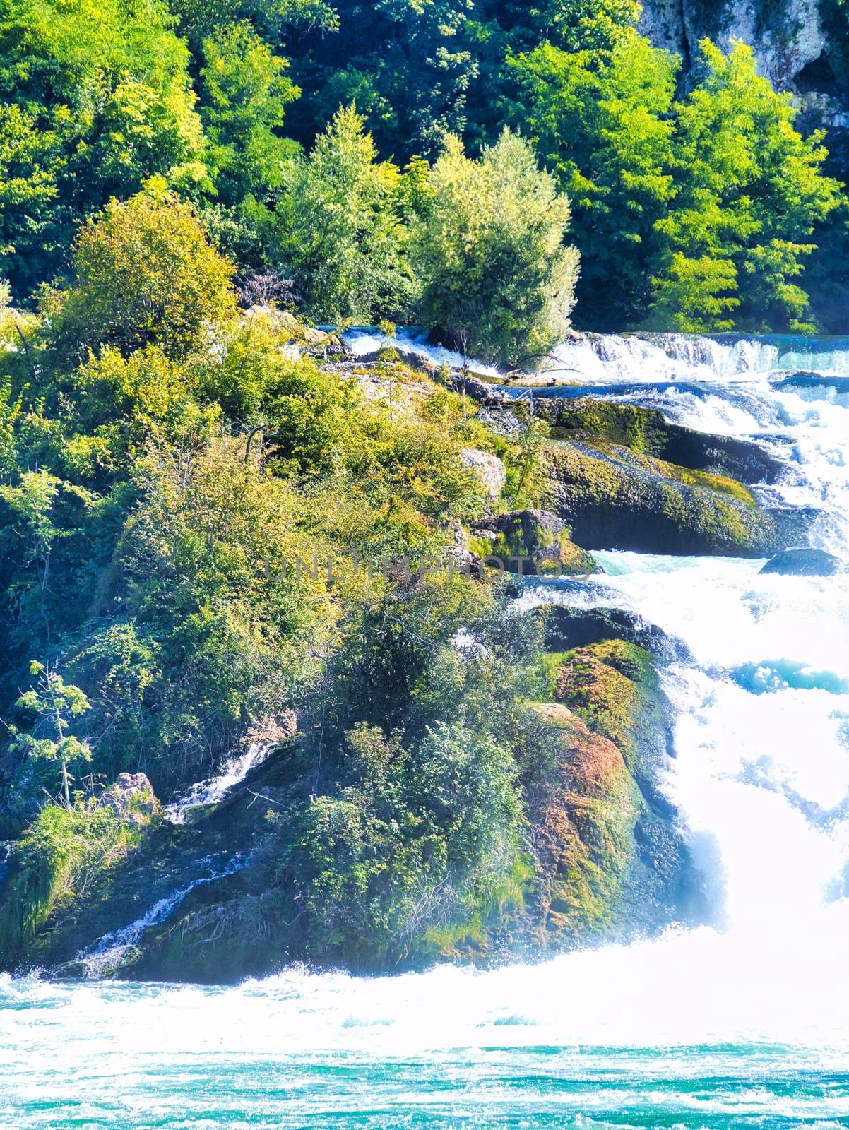 the famous rhine falls in the swiss near the city of Schaffhausen - sunny day and blue sky