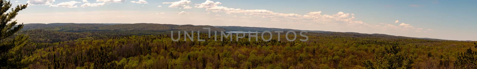 Panorama photo of lookout trail in algonquin park. It is a short uphill hike to get a view of the entire park