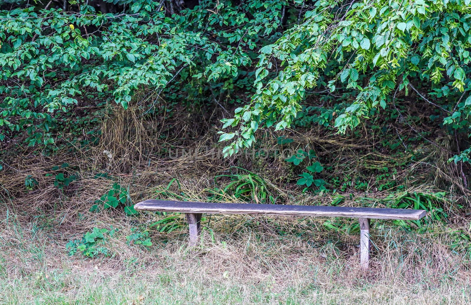 A public empty bench found in northern Europe.