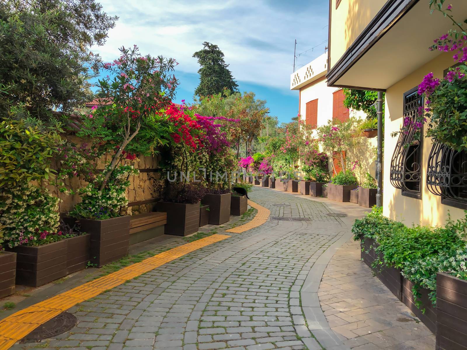 Nice medieval street with flowers and historical buildings in the old city of Antalya, Kaleici, Turkey. Horizontal stock image