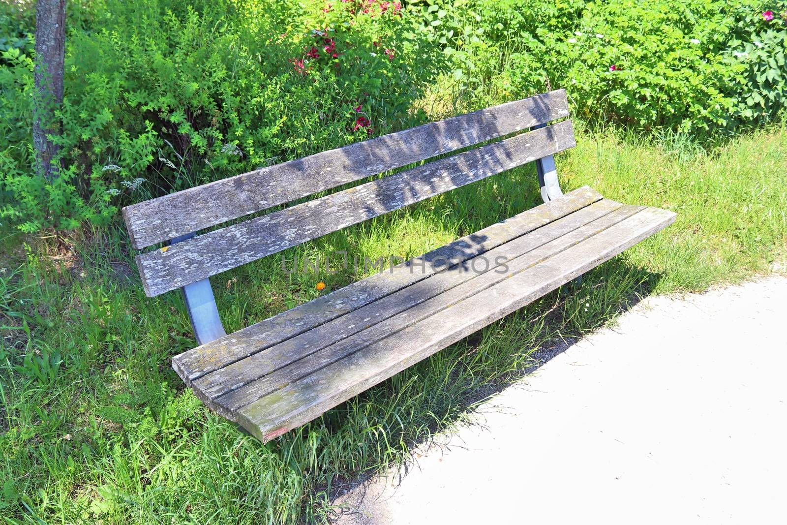 A public empty bench found in northern Europe.