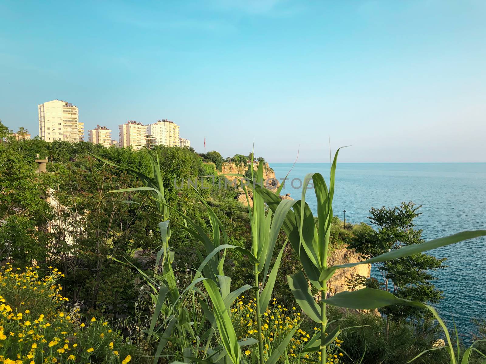 Beautiful buildings, green rocks and Mediterranean sea view in A by AlonaGryadovaya