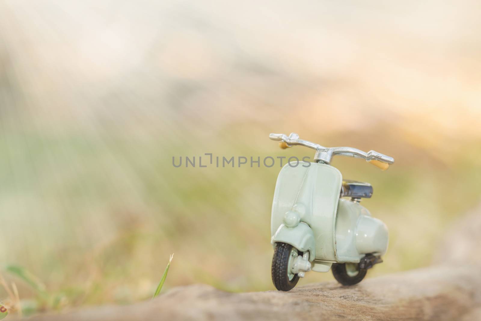 Motorcycle model in nature