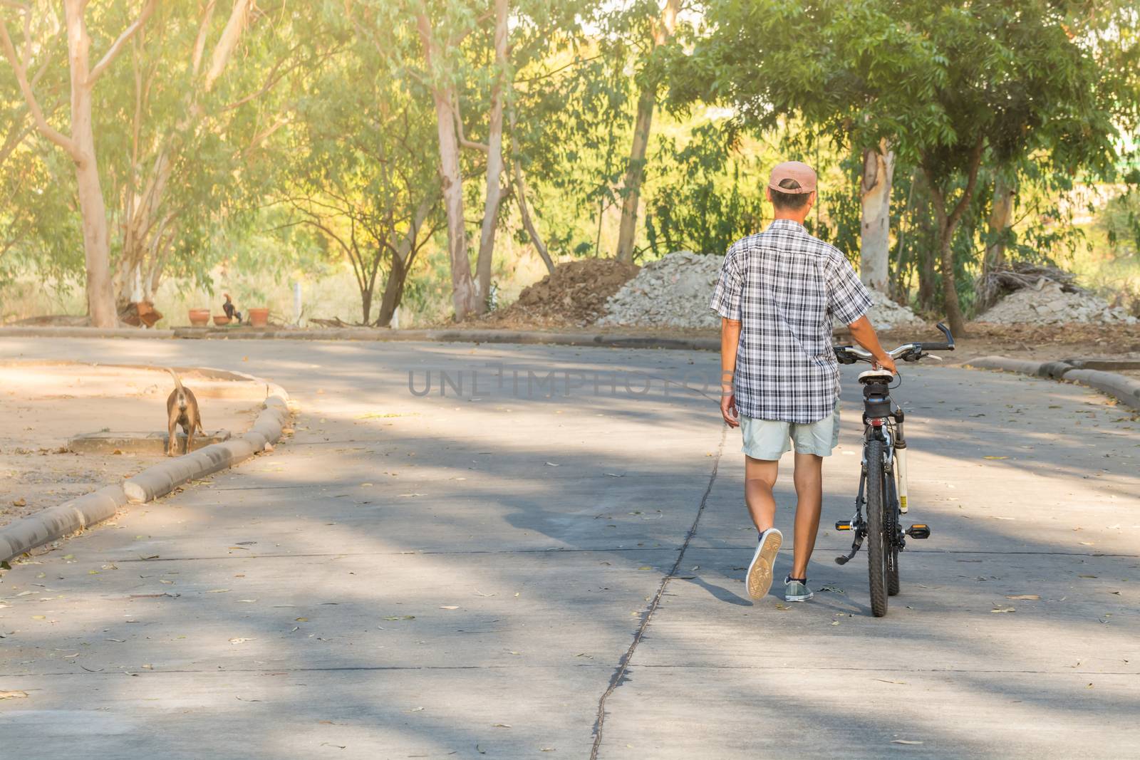 recreation sports bike exercise in park