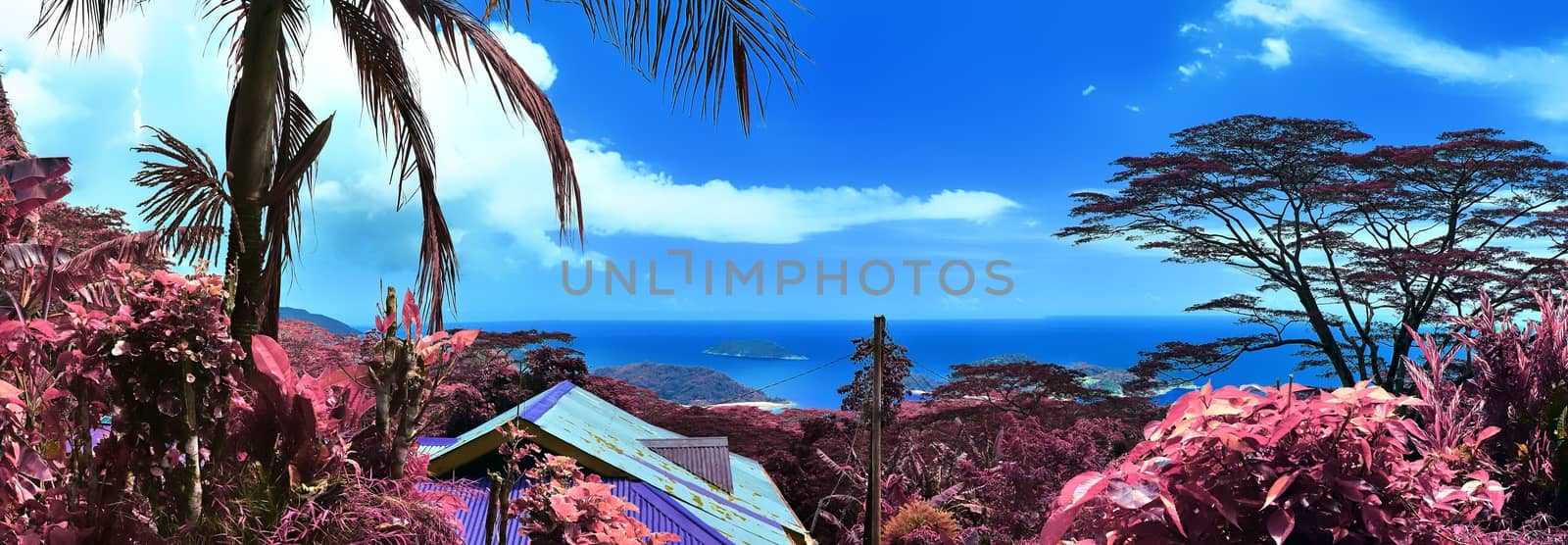 Beautiful purple and pink infrared panorama of a landscape on the Seychelles Islands.