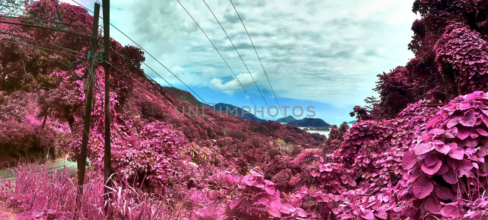 Beautiful purple and pink infrared panorama of a landscape on th by MP_foto71