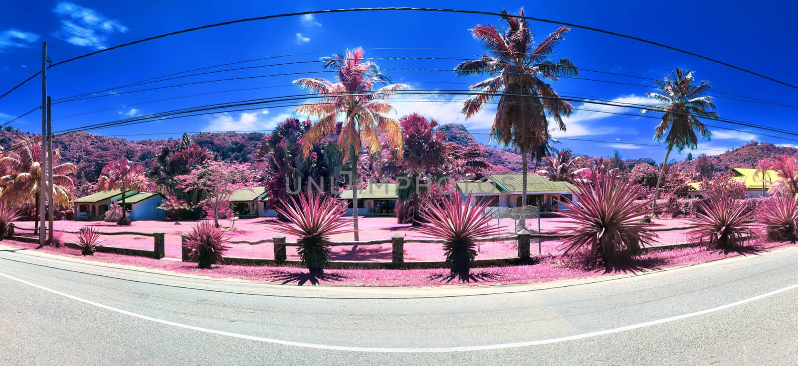 Beautiful purple and pink infrared panorama of a landscape on the Seychelles Islands.