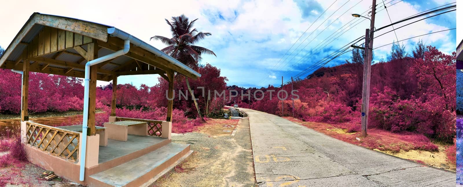 Beautiful purple and pink infrared panorama of a landscape on the Seychelles Islands.