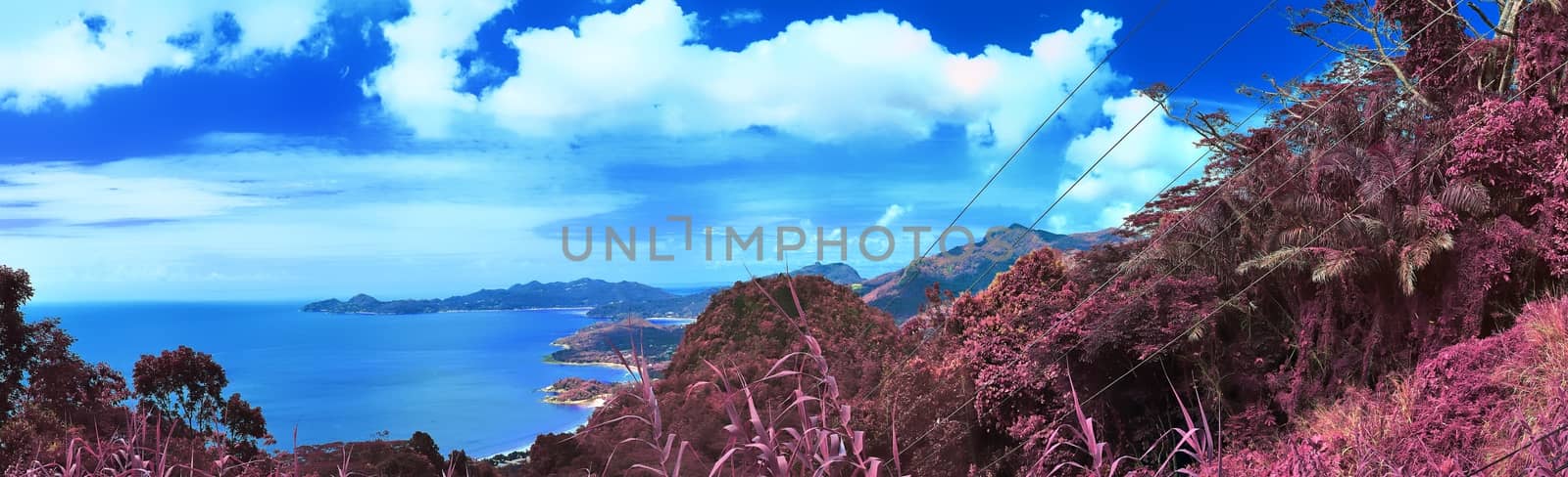 Beautiful purple and pink infrared panorama of a landscape on the Seychelles Islands.