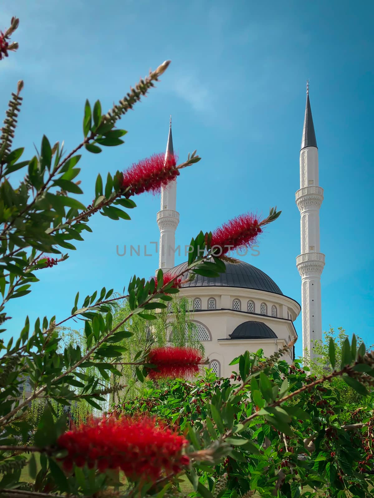 New beautiful white mosque in Turkey with red flowers on a sunny day, blue sky background, Ramazan Bayram, Ramadan, Kurban, Kandil