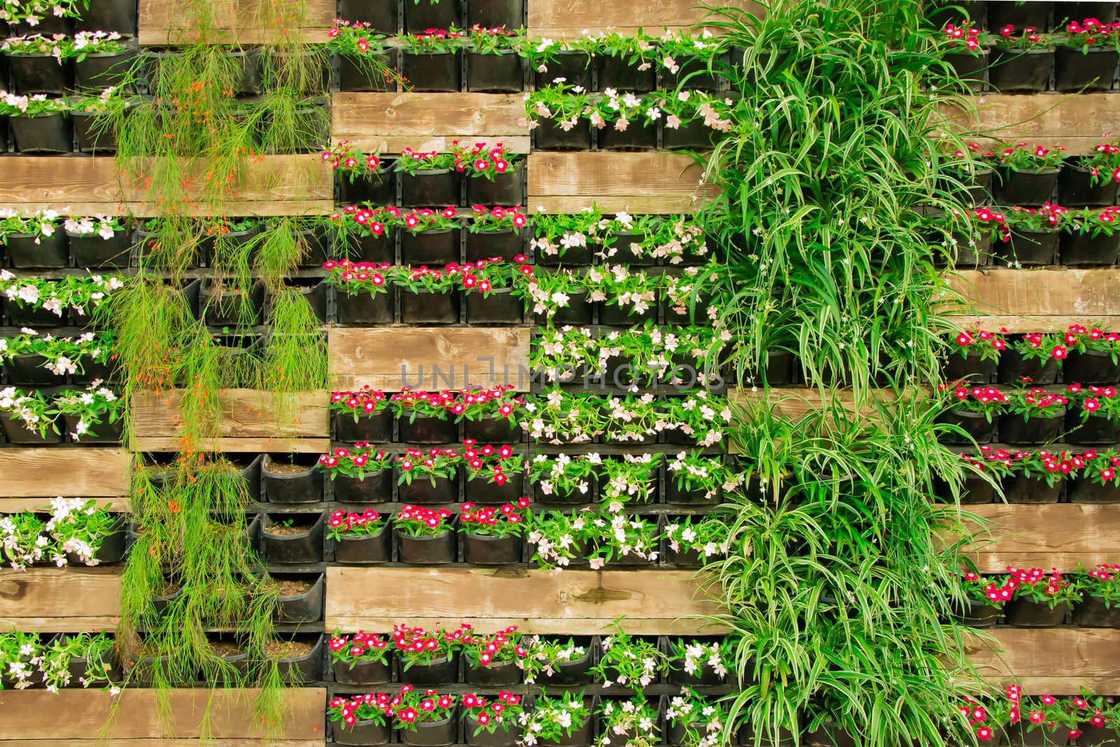 Bright flower floral decorative wall fence, vertical flowerbed plant pot. Stock image.	