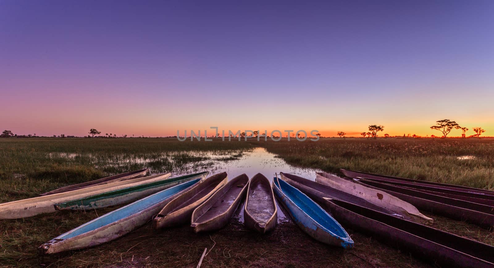 Botswanian local mokoro boats in the sunset time, on the shore o by ambeon