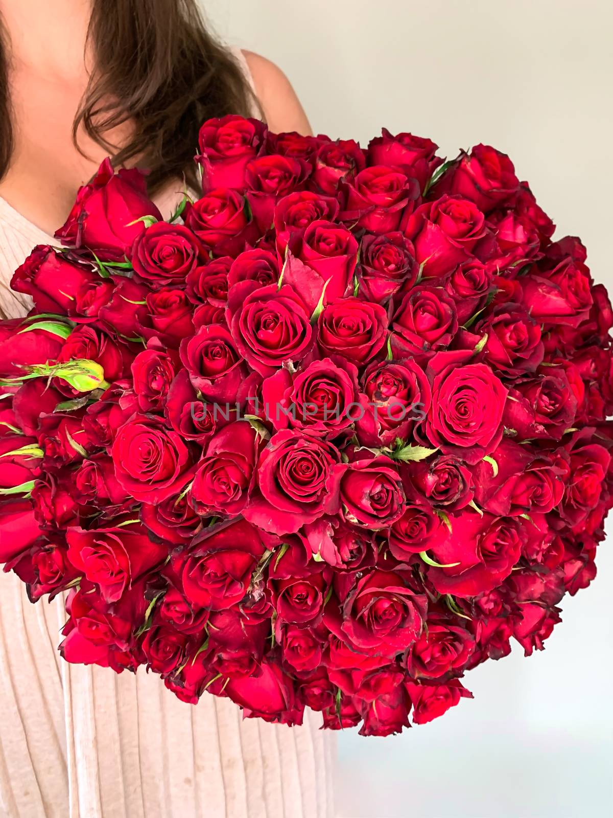 A young girl holding in hands a huge bouquet of 101 wonderful red roses. Front view