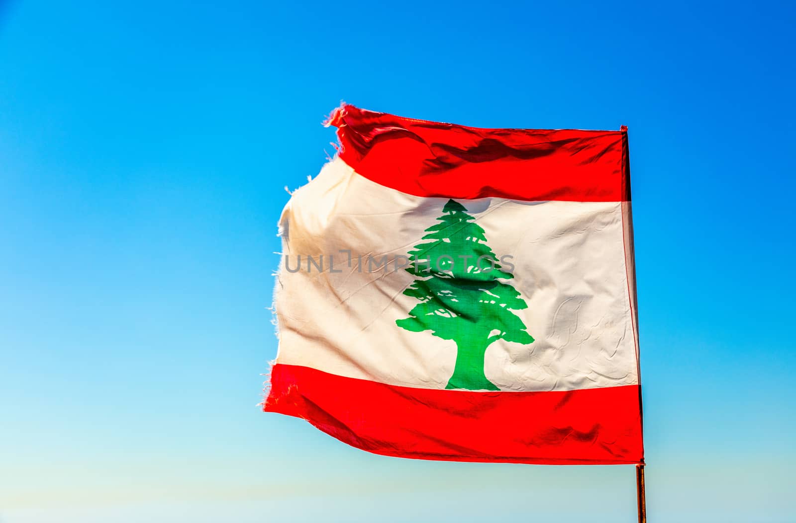 Lebanese red and white with green cedar tree flag waving on the  wind with blue sky, Byblos, Lebanon