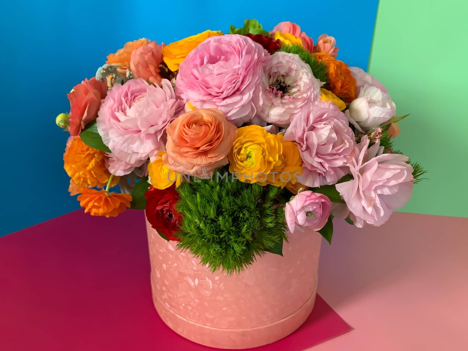 Bright colorful pink yellow orange persian asian buttercup ranunculus asiaticus bouquet fresh flowers in round box