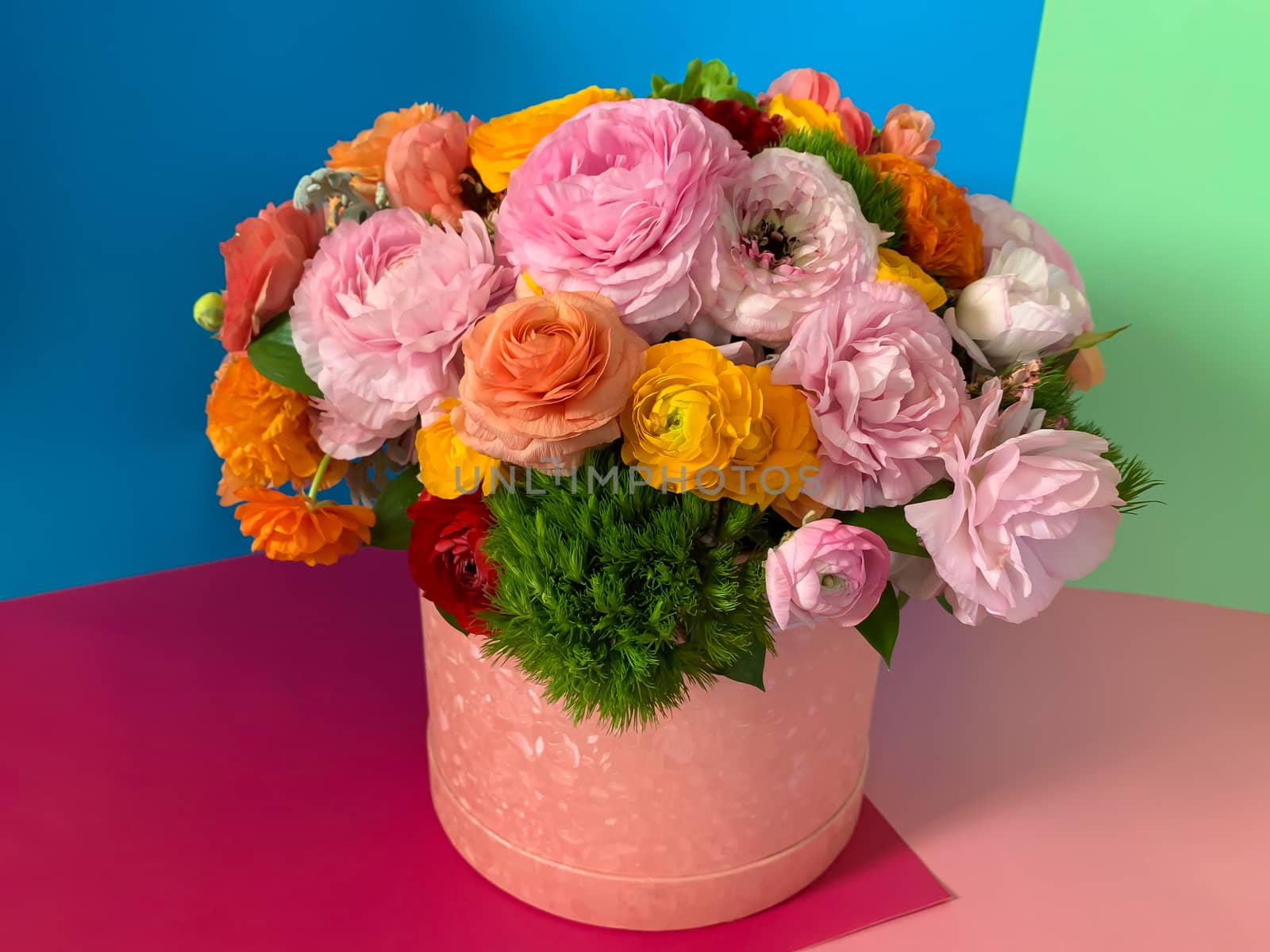 Bright colorful pink yellow orange persian asian buttercup ranunculus asiaticus bouquet fresh flowers in round box