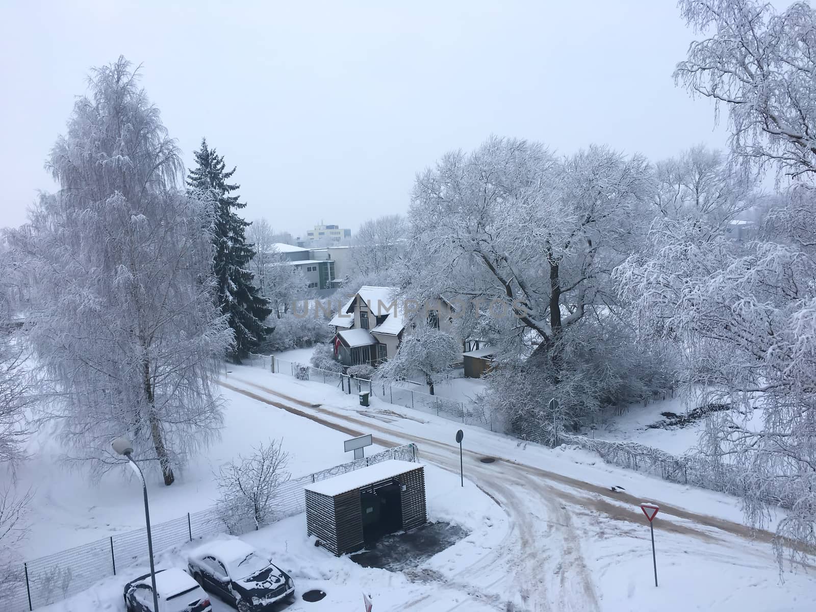 White winter fairy tale  landscape. Trees, houses and cars covered with snow. Christmas and New Year mood concept stock image. 