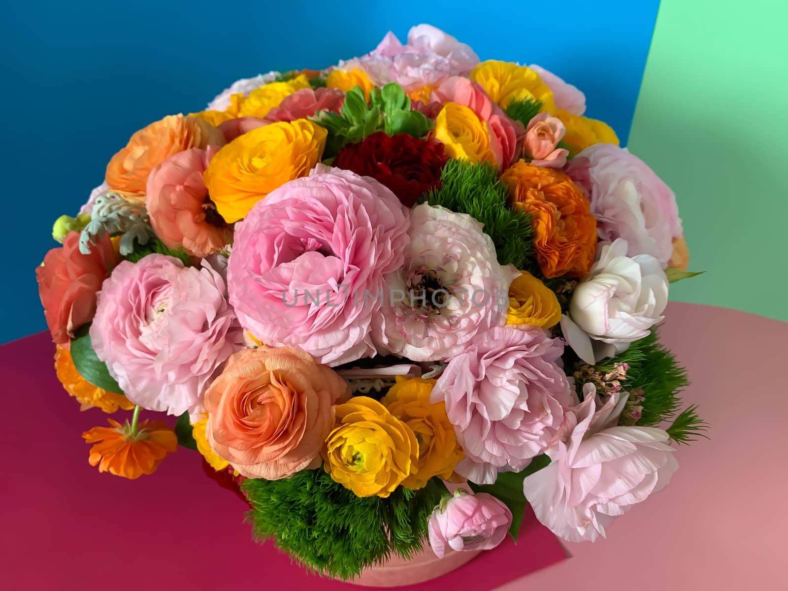 Close up bright colorful pink yellow orange persian asian buttercup ranunculus asiaticus bouquet fresh flowers in round box