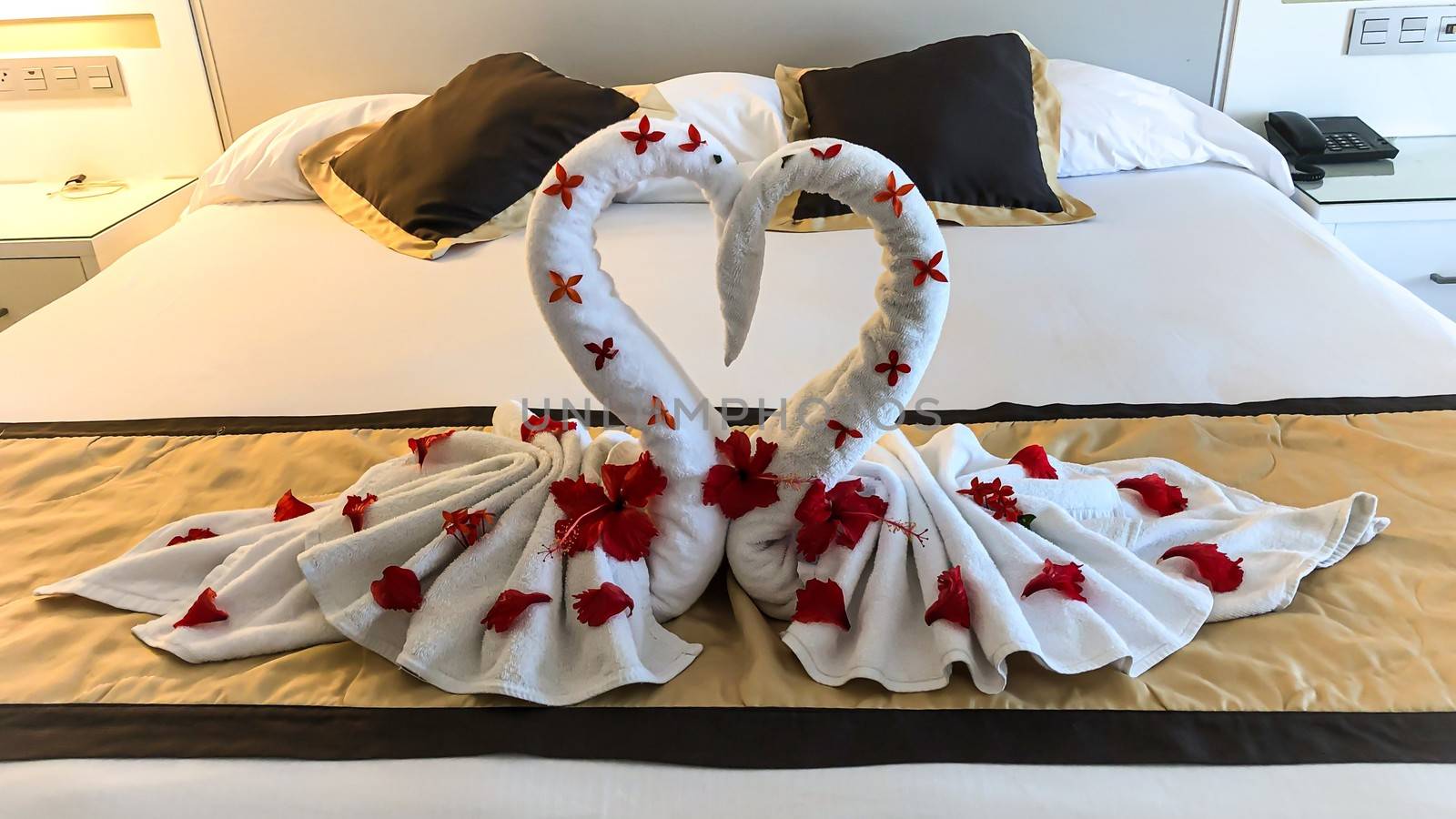 Two nice towel swans on a hotel's bed by AlonaGryadovaya