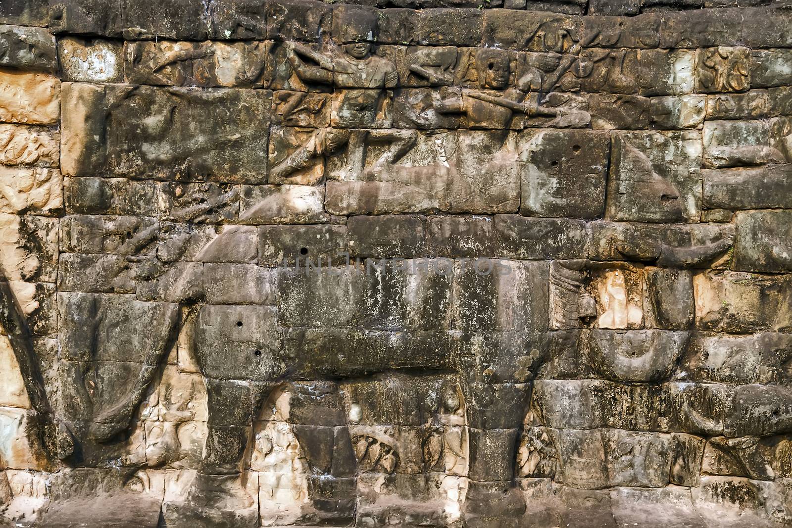 elephant Khmer relief by Vladyslav