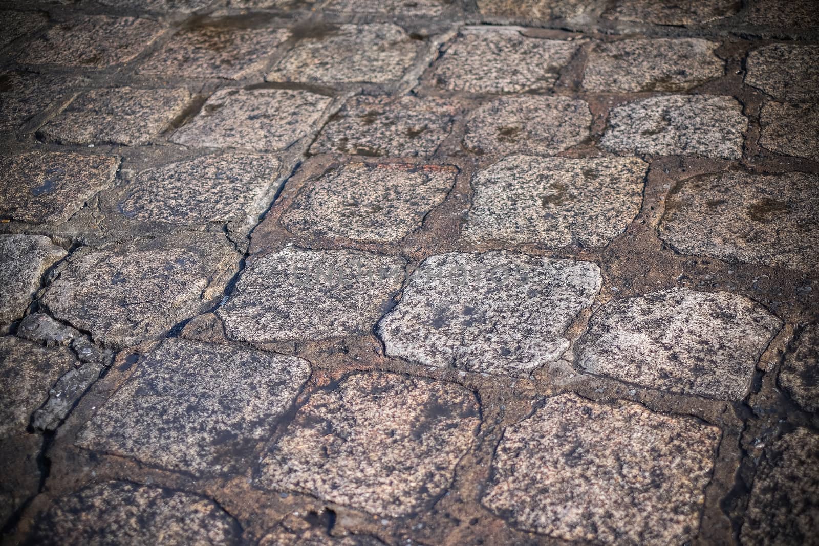 Brick walkway backgroud and close up