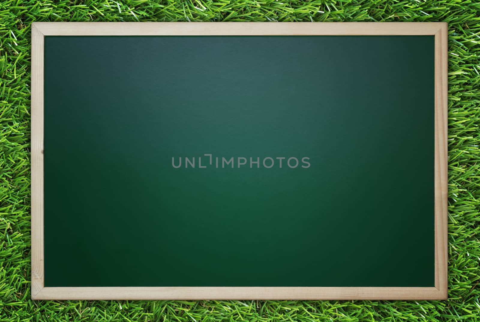Blackboard, chalkboard on green grass background, education concept, nature and ecology