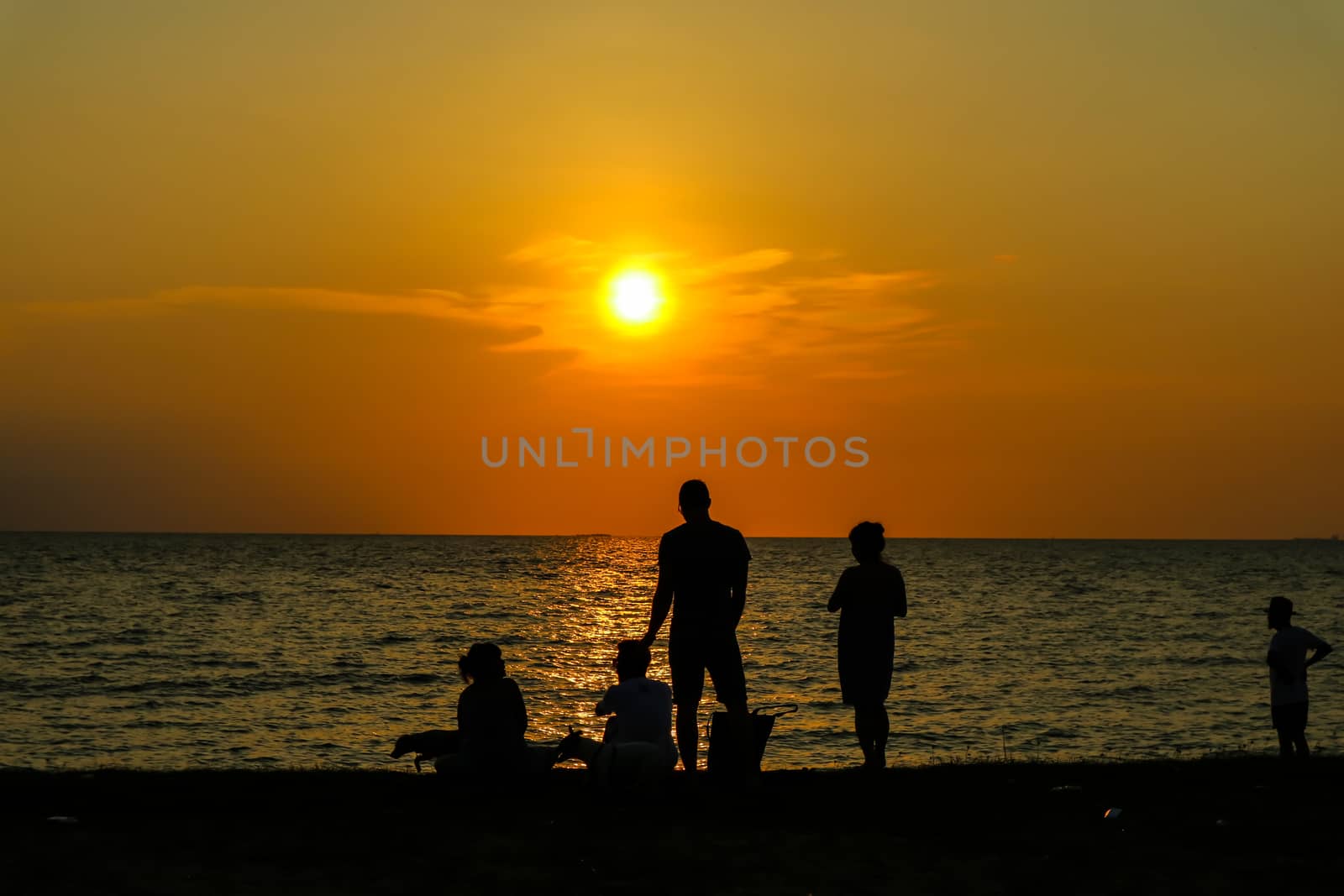 silhouette people family and pet playing at beach and sea sand sunset background