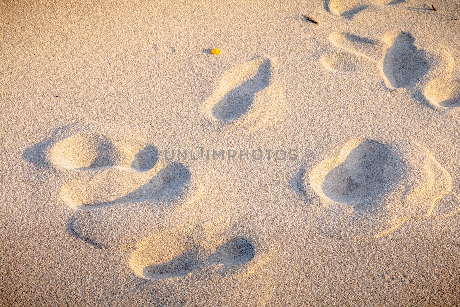footprint in the fine sand by the sea in Portugal