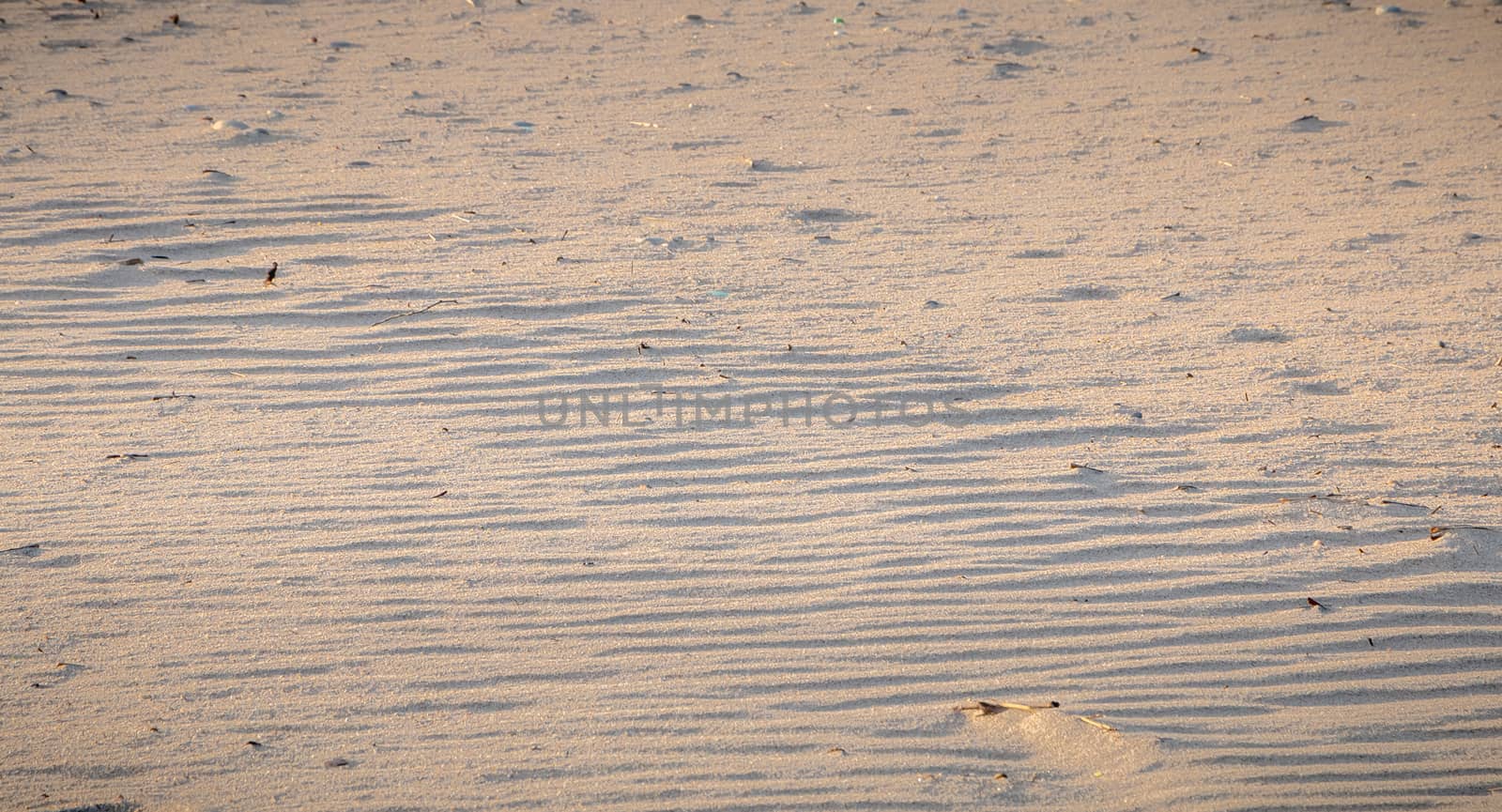 footprint in the fine sand by the sea in Portugal