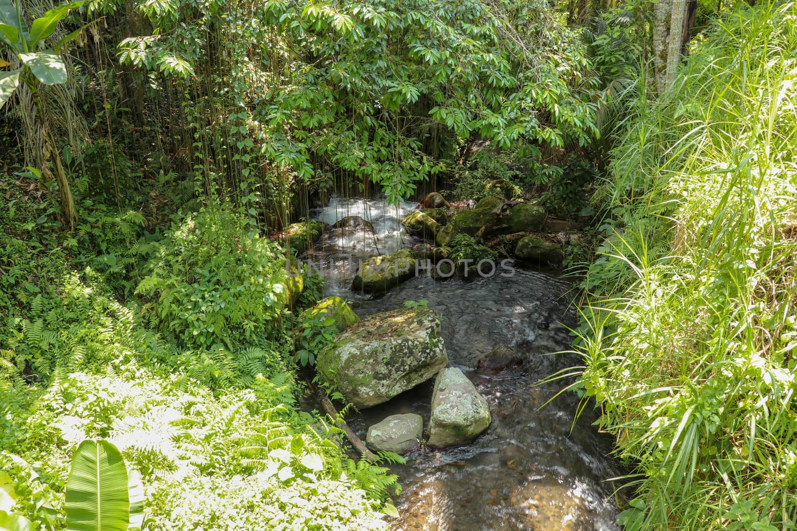 River bed in Pakerisan valley with wild water and big boulders. Water rolling over rocks in a river bed at a funeral complex in Tampaksiring. Gunung Kawi, Bali, Indonesia. Tropical vegetation.