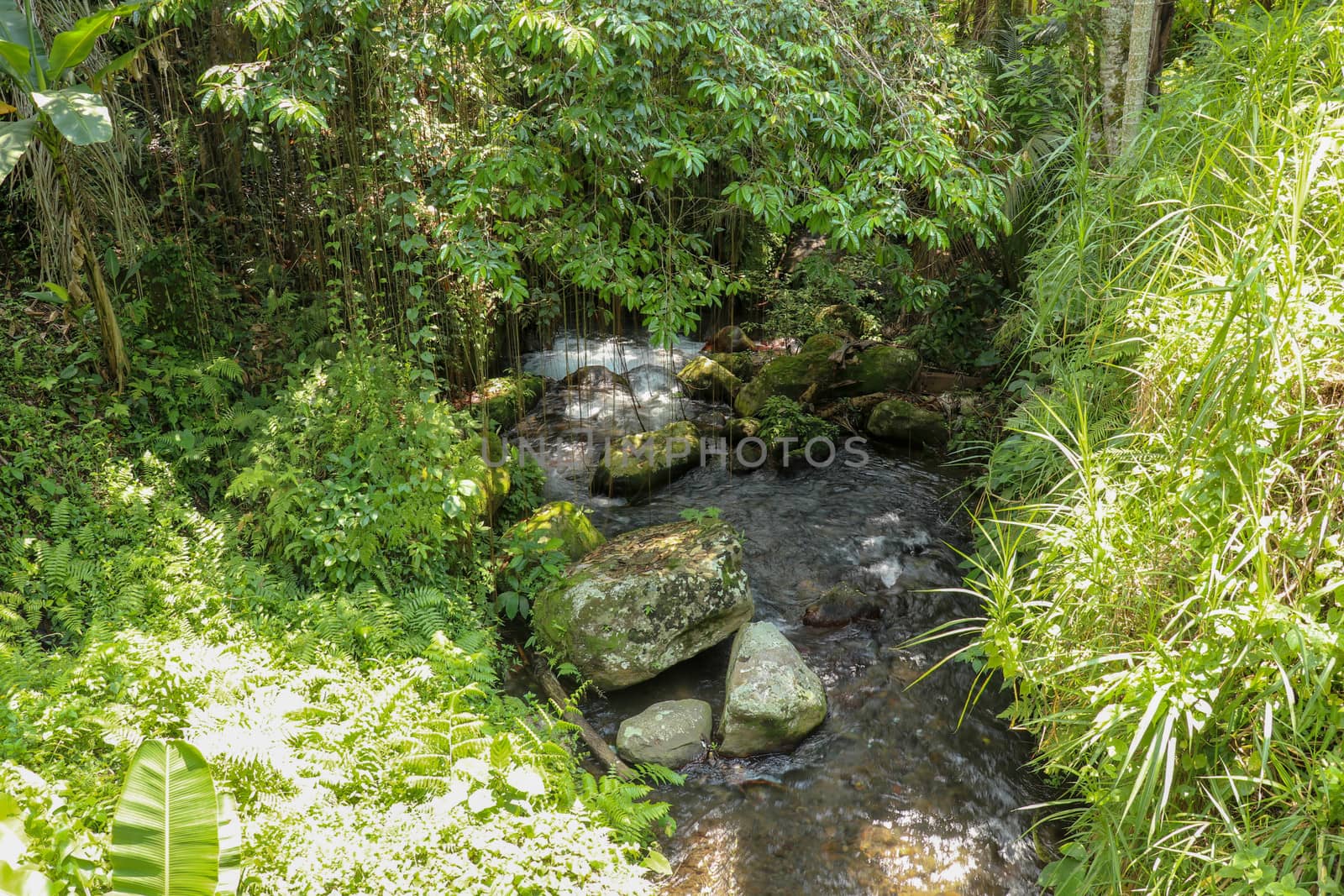 River bed in Pakerisan valley with wild water and big boulders. Water rolling over rocks in a river bed at a funeral complex in Tampaksiring. Gunung Kawi, Bali, Indonesia. Tropical vegetation.