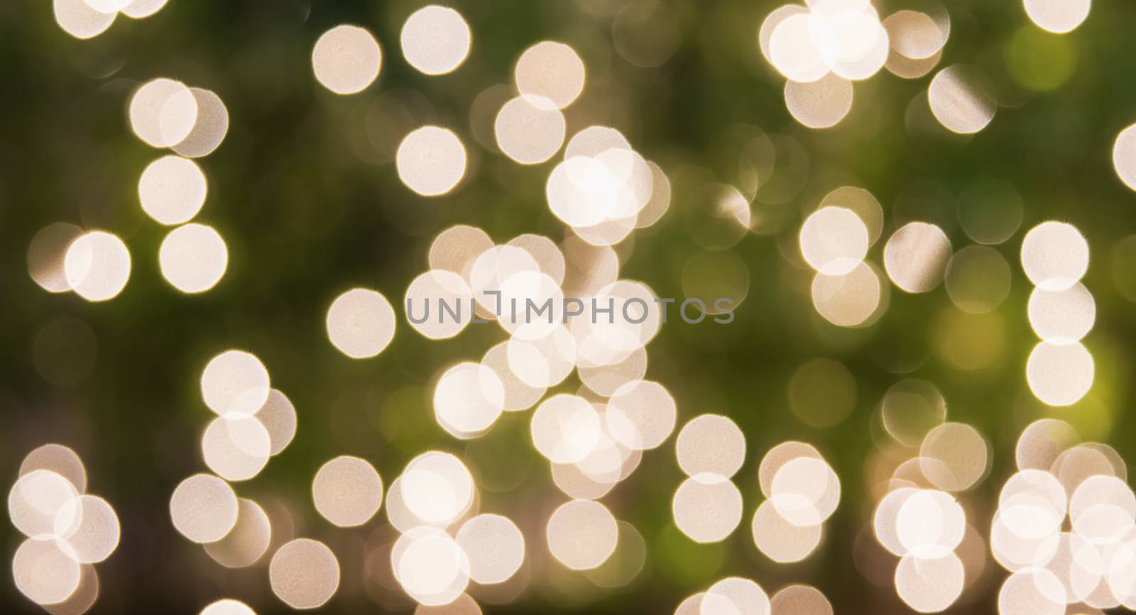 Green and light Bokea