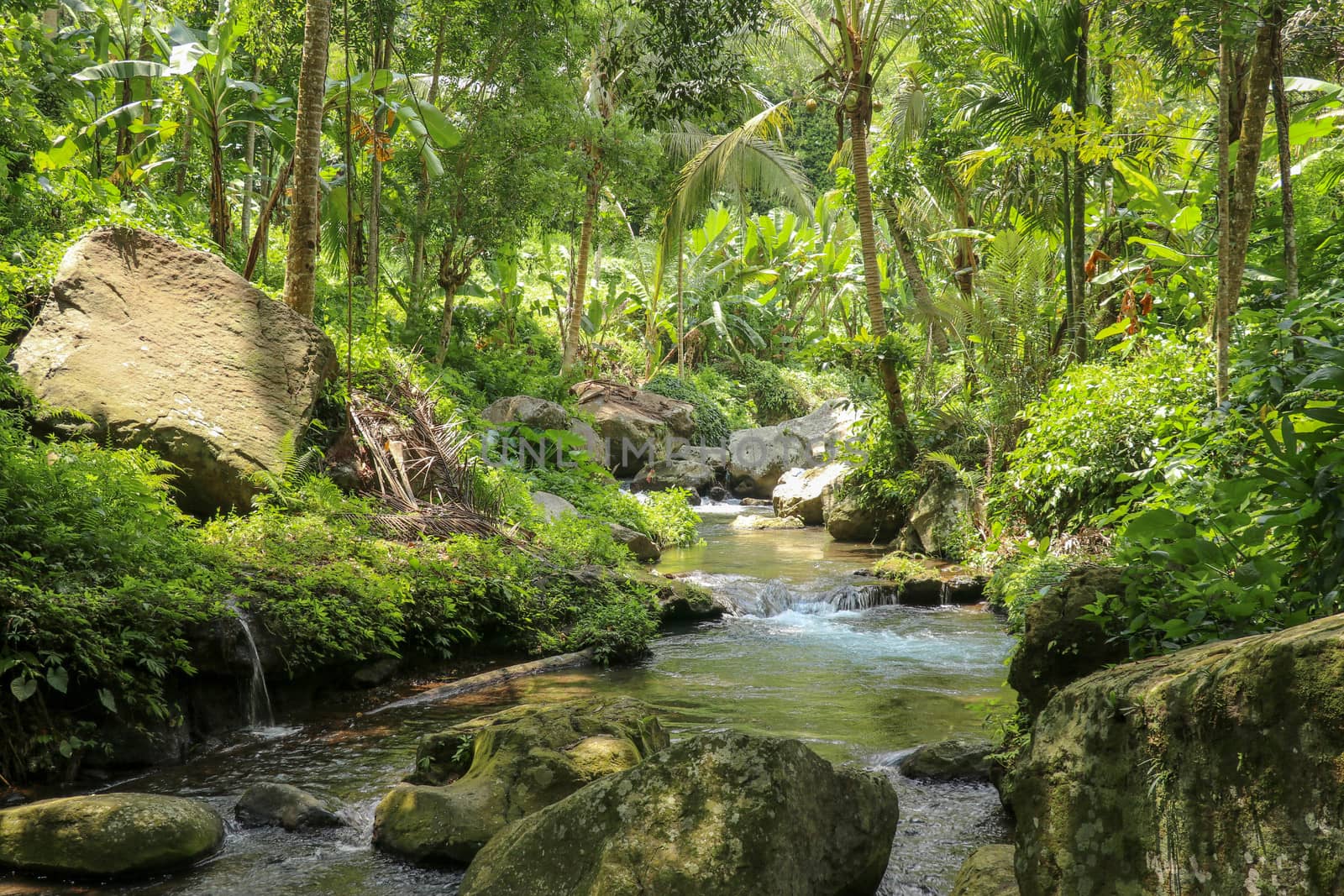 River bed in Pakerisan valley with wild water and big boulders. Water rolling over rocks in a river bed at a funeral complex in Tampaksiring. Gunung Kawi, Bali, Indonesia. Tropical vegetation.