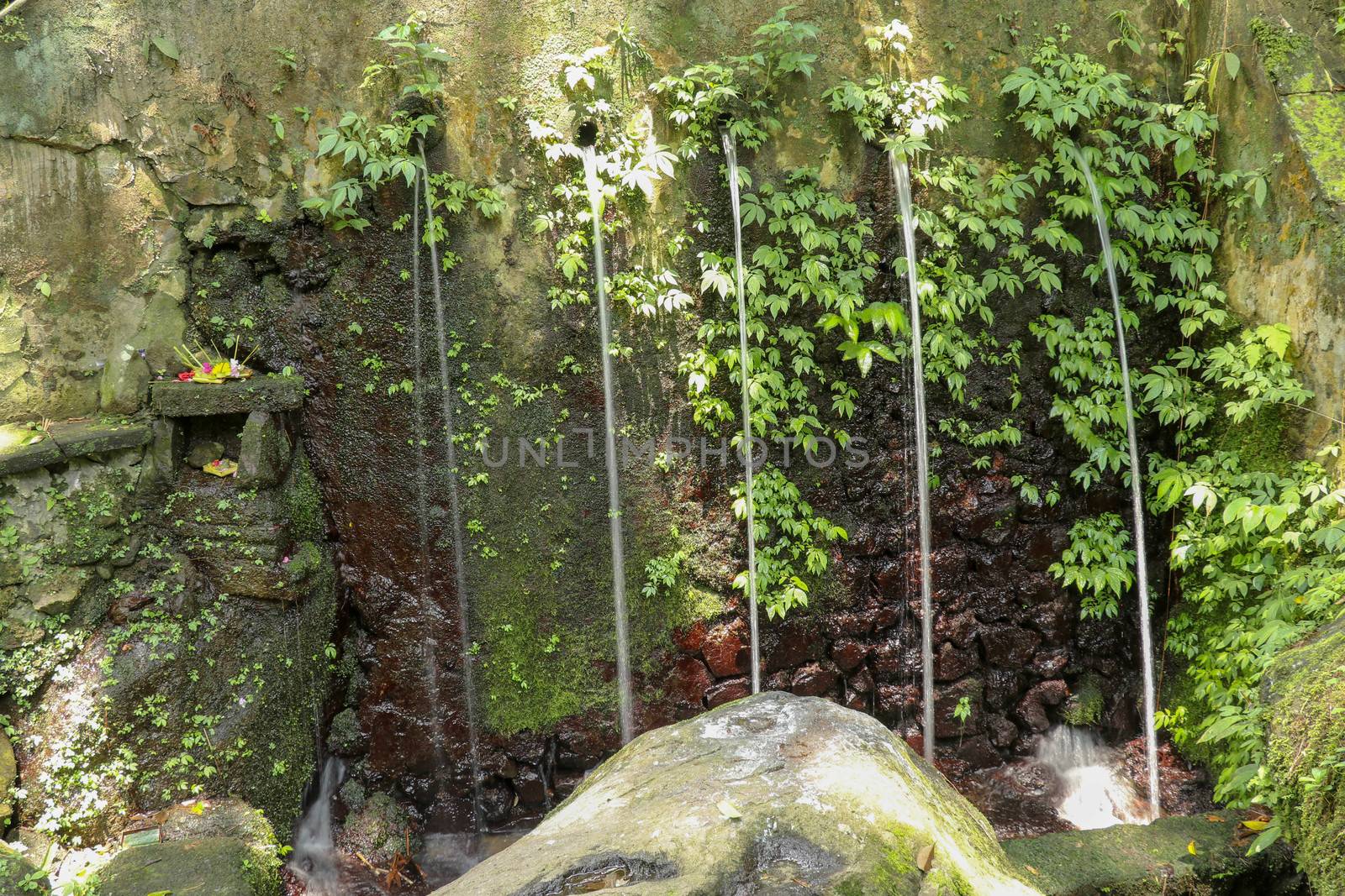 Sacred water springs in the Pakerisan Valley at the Tampaksiring Burial Complex. Gunung Kawi, Bali, Indonesia. Sacrifices to the Gods on the altar. Mecha and tropical vegetation grow on a rock wall.
