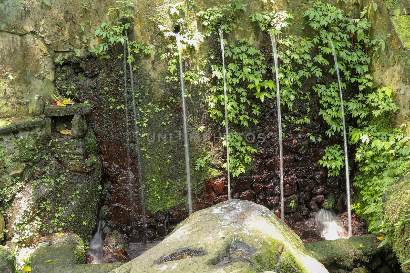 Sacred water springs in the Pakerisan Valley at the Tampaksiring Burial Complex. Gunung Kawi, Bali, Indonesia. Sacrifices to the Gods on the altar. Mecha and tropical vegetation grow on a rock wall.