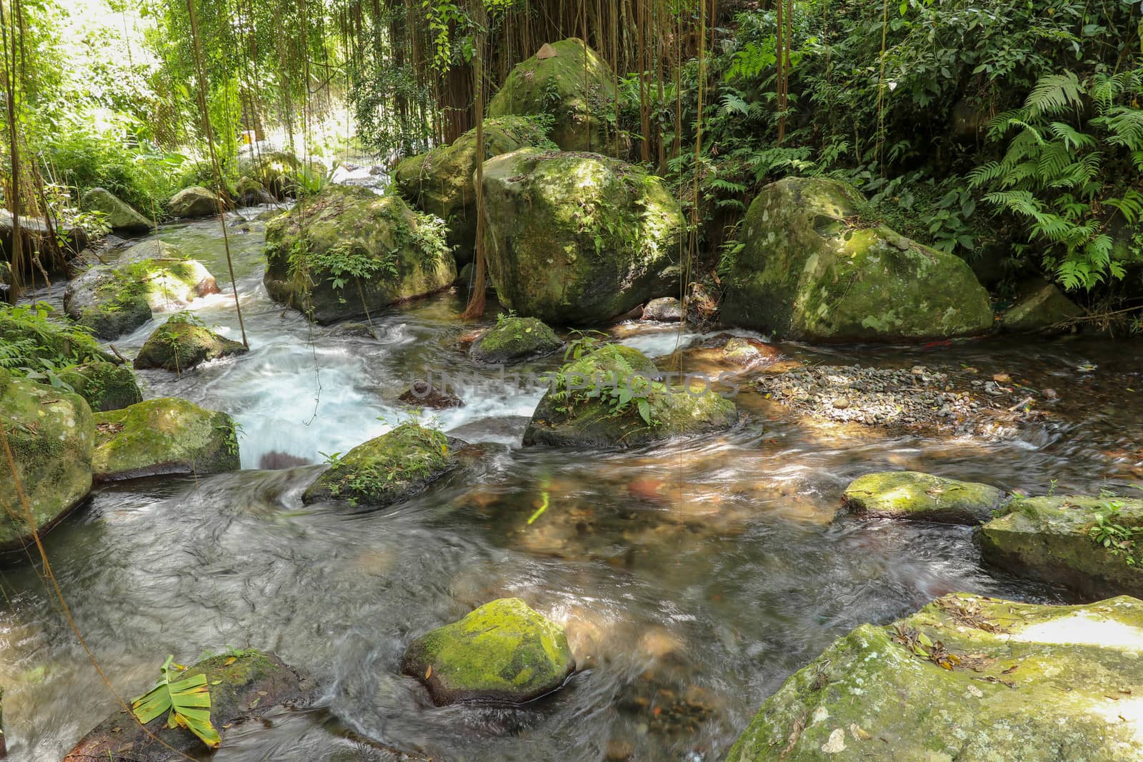 River bed in Pakerisan valley with wild water and big boulders. Water rolling over rocks in a river bed at a funeral complex in Tampaksiring. Gunung Kawi, Bali, Indonesia. Tropical vegetation.