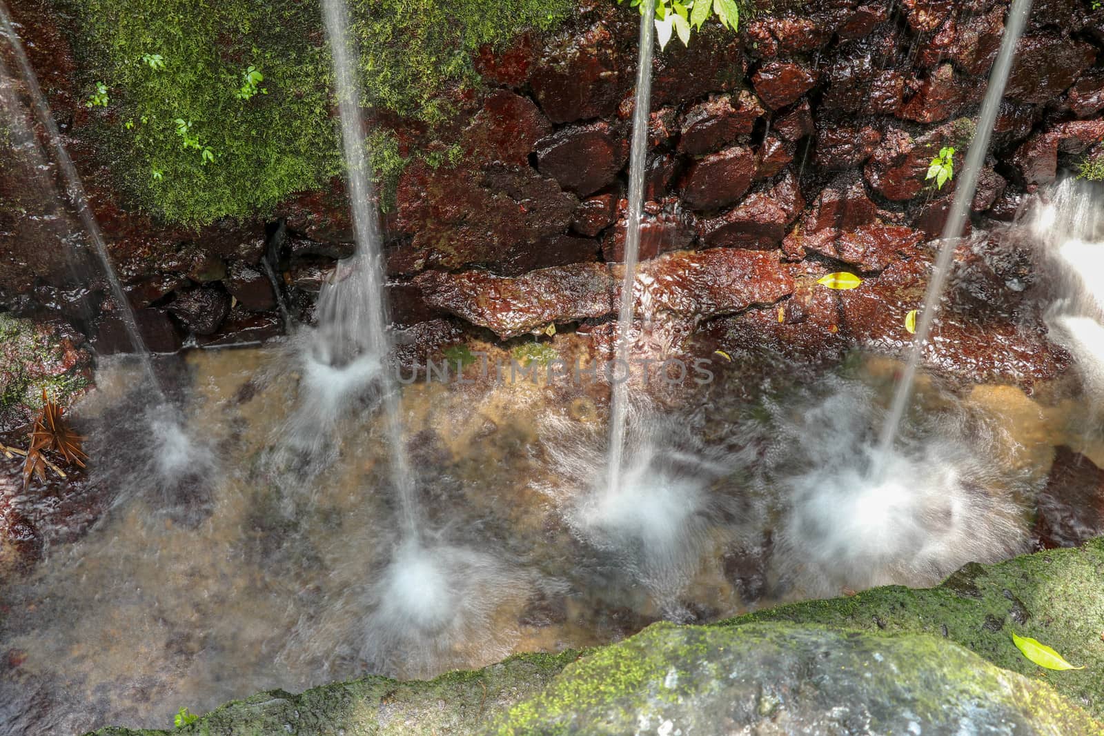 Sacred water springs in the Pakerisan Valley at the Tampaksiring Burial Complex. Gunung Kawi, Bali, Indonesia. Water falls on water surface and drops spray on moss and tropical vegetation on rock wall