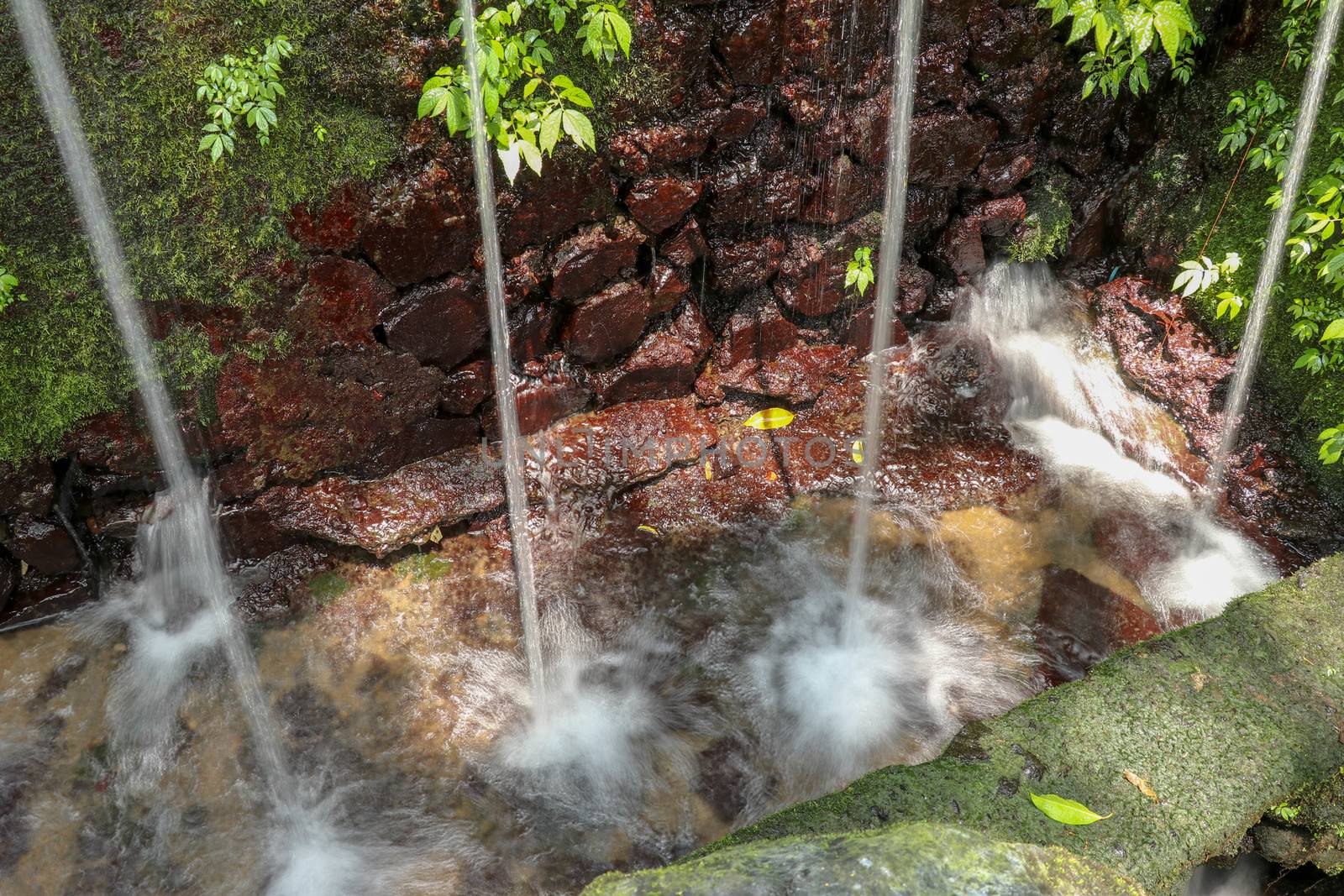 Sacred water springs in the Pakerisan Valley at the Tampaksiring Burial Complex. Gunung Kawi, Bali, Indonesia. Sacrifices to the Gods on the altar. Mecha and tropical vegetation grow on a rock wall.