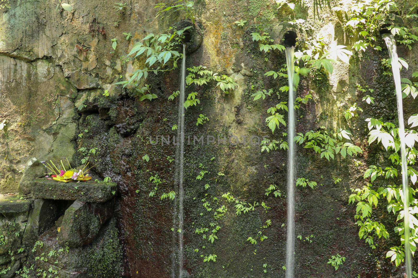 Sacred water springs in the Pakerisan Valley at the Tampaksiring Burial Complex. Gunung Kawi, Bali, Indonesia. Sacrifices to the Gods on the altar. Mecha and tropical vegetation grow on a rock wall.