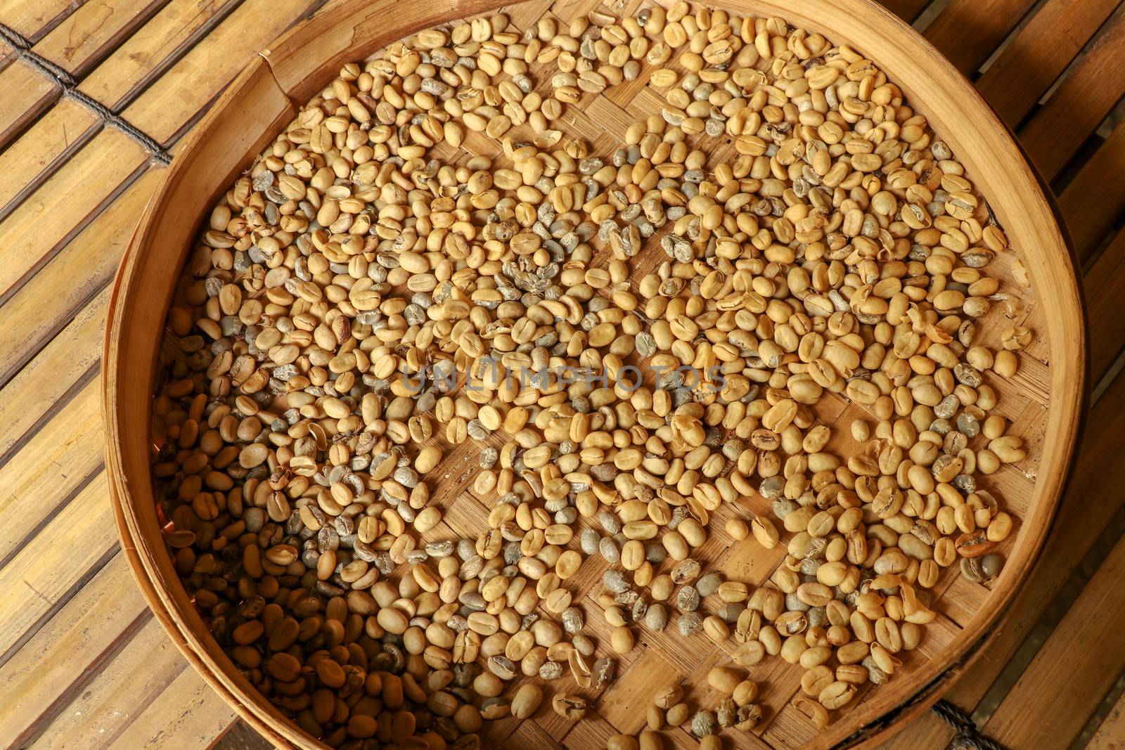 Wicker robe made of bamboo strips filled with fresh Kopi luwak beans. Close up of natural process of civet coffee beans drying on coffee factory in Bali. Dried coffee beans ready for roasting process.