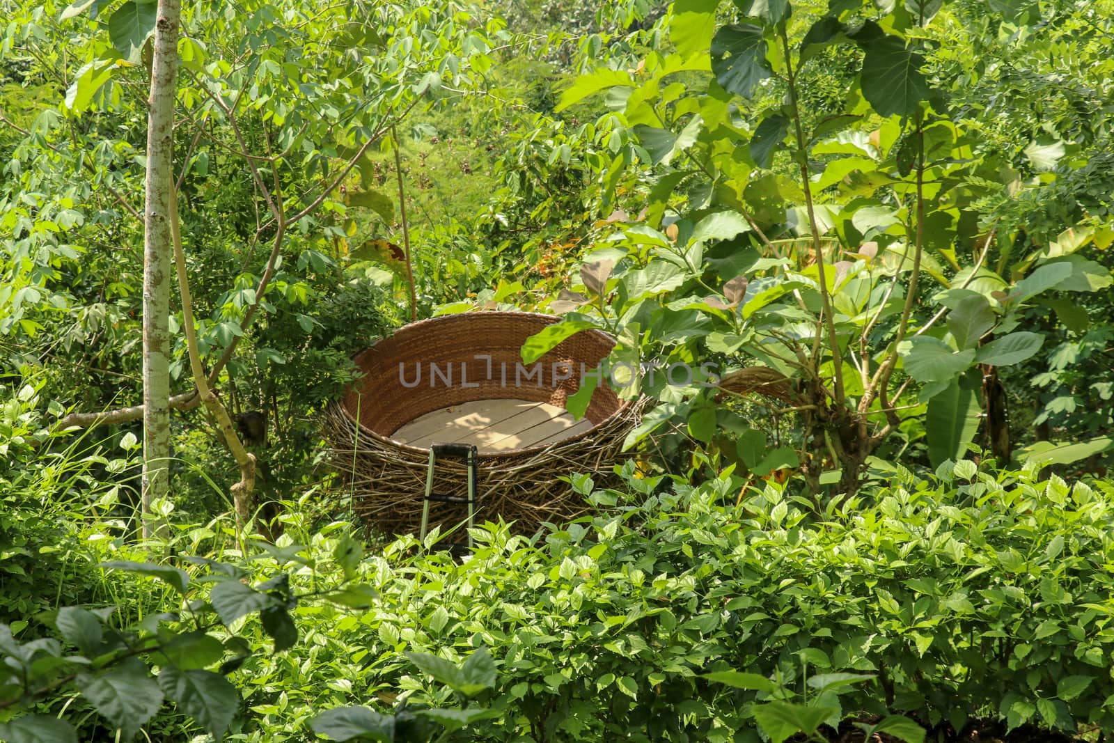 Tourist attraction in the form of large bird's nest. Bird's nest from straw, tourist photo area on Bali island, Indonesia. Bali Trend, Straw Nests in Rain Forest. Photo in nest, natural background.
